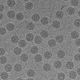 An electron microscopic image of the human papillomavirus